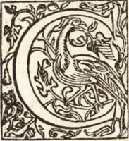 An illustration from Le vite de piv eccellenti architetti, pittori, et scvltori italiani : da Cimabve in sino à tempi nostri (1550)