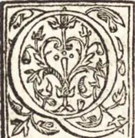 An illustration from Le vite de piv eccellenti architetti, pittori, et scvltori italiani : da Cimabve in sino à tempi nostri (1550)