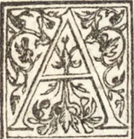 An illustration from Le vite de piv eccellenti architetti, pittori, et scvltori italiani : da Cimabve in sino à tempi nostri (1550)