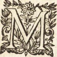 Picture 4 of 49 from Les voyages et obseruations du Sieur de La Boullaye-Le-Gouz, gentil-homme angeuin : où sont décrites les religions, gouuernemens, & situations des estats & royaumes d'Italie, Grece, Natolie, Syrie, Perse, Palestine, Karamenie, Kaldée, Assyrie, grand Mogol, Bijapour, Indes orientales des Portugais, Arabie, Egypte, Holande, grande Bretagne, Irlande, Dannemark, Pologne, isles & autres lieux d'Europe, Asie & Affrique, ou il à seiourné, le tout enrichy de belles figures ; et dedié à l'Eminentissime Cardinal Capponi (1653), leaf 14