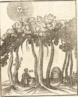 An illustration from Les voyages et obseruations du Sieur de La Boullaye-Le-Gouz, gentil-homme angeuin : où sont décrites les religions, gouuernemens, & situations des estats & royaumes d'Italie, Grece, Natolie, Syrie, Perse, Palestine, Karamenie, Kaldée, Assyrie, grand Mogol, Bijapour, Indes orientales des Portugais, Arabie, Egypte, Holande, grande Bretagne, Irlande, Dannemark, Pologne, isles & autres lieux d'Europe, Asie & Affrique, ou il à seiourné, le tout enrichy de belles figures ; et dedié à l'Eminentissime Cardinal Capponi (1653)