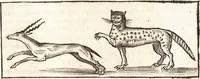 An illustration from Les voyages et obseruations du Sieur de La Boullaye-Le-Gouz, gentil-homme angeuin : où sont décrites les religions, gouuernemens, & situations des estats & royaumes d'Italie, Grece, Natolie, Syrie, Perse, Palestine, Karamenie, Kaldée, Assyrie, grand Mogol, Bijapour, Indes orientales des Portugais, Arabie, Egypte, Holande, grande Bretagne, Irlande, Dannemark, Pologne, isles & autres lieux d'Europe, Asie & Affrique, ou il à seiourné, le tout enrichy de belles figures ; et dedié à l'Eminentissime Cardinal Capponi (1653)