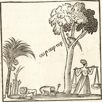 Picture 34 of 49 from Les voyages et obseruations du Sieur de La Boullaye-Le-Gouz, gentil-homme angeuin : où sont décrites les religions, gouuernemens, & situations des estats & royaumes d'Italie, Grece, Natolie, Syrie, Perse, Palestine, Karamenie, Kaldée, Assyrie, grand Mogol, Bijapour, Indes orientales des Portugais, Arabie, Egypte, Holande, grande Bretagne, Irlande, Dannemark, Pologne, isles & autres lieux d'Europe, Asie & Affrique, ou il à seiourné, le tout enrichy de belles figures ; et dedié à l'Eminentissime Cardinal Capponi (1653), leaf 254