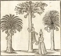 An illustration from Les voyages et obseruations du Sieur de La Boullaye-Le-Gouz, gentil-homme angeuin : où sont décrites les religions, gouuernemens, & situations des estats & royaumes d'Italie, Grece, Natolie, Syrie, Perse, Palestine, Karamenie, Kaldée, Assyrie, grand Mogol, Bijapour, Indes orientales des Portugais, Arabie, Egypte, Holande, grande Bretagne, Irlande, Dannemark, Pologne, isles & autres lieux d'Europe, Asie & Affrique, ou il à seiourné, le tout enrichy de belles figures ; et dedié à l'Eminentissime Cardinal Capponi (1653)