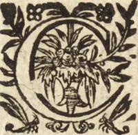 An illustration from Les voyages et obseruations du Sieur de La Boullaye-Le-Gouz, gentil-homme angeuin : où sont décrites les religions, gouuernemens, & situations des estats & royaumes d'Italie, Grece, Natolie, Syrie, Perse, Palestine, Karamenie, Kaldée, Assyrie, grand Mogol, Bijapour, Indes orientales des Portugais, Arabie, Egypte, Holande, grande Bretagne, Irlande, Dannemark, Pologne, isles & autres lieux d'Europe, Asie & Affrique, ou il à seiourné, le tout enrichy de belles figures ; et dedié à l'Eminentissime Cardinal Capponi (1653)