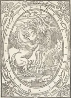 An illustration from Vrbis Romae topographia : nvper ab ipso avctore nonnvllis erroribvs svblatis emandata, addita etiam interpretatione nominum quæ unica litera uel syllaba in antiquis titulis scripta inueniuntur : cvi etiam ab eodem adiectae svnt qvam breuissimæ obseruationes de prænomine, nomine, & cognomine de quibus etsi multi multa scripsere nemo tamen hactenus rei ueritatem attigisse videtur (1544)