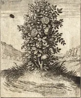 Picture 8 of 19 from Zodiacus Christianus, das ist Christelicher Himmelcirckel, oder, zwölff Zeichen bey welche[n] ein ieder Christ erkenne[n] vnd schliessen kan, ob er von Gott zum ewigen Leben fürsehen vnd erwölet oder nicht : sampt XII schöne[n] Figuren, durch welche bemelte Zeiche[n] für Augen gestelt werden (1624), leaf 115