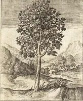 An illustration from Zodiacus Christianus, das ist Christelicher Himmelcirckel, oder, zwölff Zeichen bey welche[n] ein ieder Christ erkenne[n] vnd schliessen kan, ob er von Gott zum ewigen Leben fürsehen vnd erwölet oder nicht : sampt XII schöne[n] Figuren, durch welche bemelte Zeiche[n] für Augen gestelt werden (1624)