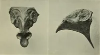 An illustration from Griechische Bronzeeimer im Berliner Antiquarium (1914)