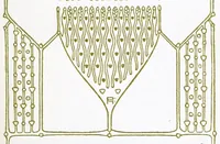 Picture 1 of 6 from Griechische Studien : Gesammelte Aufsätze (1904), leaf 11