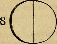 An illustration from Grondlegginge ter teekenkonst : zynde een korte en zeekere weg om door middel van de geometrie of meetkunde, de teeken-konst volkomen te leeren (1701)
