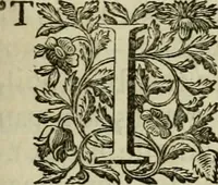 An illustration from De groote schouburgh der Nederlantsche konstschilders en schilderessen : waar van 'er veele met hunne beeltenissen ten tooneel verschynen, en hun levensgedrag en konstwerken beschreven worden: zynde een vervolg op het Schilderboek van K. v. Mander ... (1753)