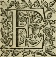 An illustration from De groote schouburgh der Nederlantsche konstschilders en schilderessen : waar van 'er veele met hunne beeltenissen ten tooneel verschynen, en hun levensgedrag en konstwerken beschreven worden: zynde een vervolg op het Schilderboek van K. v. Mander ... (1753)