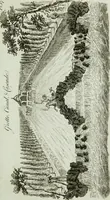 An illustration from Grotesque architecture, or, Rural amusement : consisting of plans, elevations, and sections, for huts, retreats, summer and winter hermitages, terminaries, Chinese, Gothic, and natural grottos, cascades, baths, mosques, Moresque pavilions, grotesque and rustic seats, green-houses, &c. : many of which may be executed with flints, irregular stones, rude branches, and roots of trees : the whole containing twenty-eight new designs, with scales to each : to which is added, an explanation, with the method of executing them (1790)