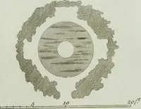 An illustration from Grotesque architecture, or, Rural amusement : consisting of plans, elevations, and sections, for huts, retreats, summer and winter hermitages, terminaries, Chinese, Gothic, and natural grottos, cascades, baths, mosques, Moresque pavilions, grotesque and rustic seats, green-houses, &c. : many of which may be executed with flints, irregular stones, rude branches, and roots of trees : the whole containing twenty-eight new designs, with scales to each : to which is added, an explanation, with the method of executing them (1790)