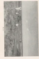 An illustration from A group of paintings by Murphy, Tryon, Walker, and Wyant .. (1918)