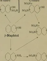 Picture 12 of 50 from Grundlegende operationen der farbenchemie (1920), leaf 65