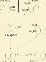 An illustration from Grundlegende Operationen der Farbenchemie (1920)