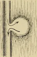 An illustration from Grundriss und Atlas der allgemeinen Chirurgie (1905)