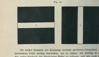 An illustration from Grundzüge der Lehre vom Lichtsinn (1920)