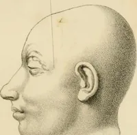 An illustration from Grundzüge der Phrenologie; oder, Anleitung zum Studium dieser Wissenschaft (1842)
