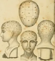 Picture 2 of 22 from Grundzüge der Phrenologie; oder, Anleitung zum Studium dieser Wissenschaft (1842), leaf 5