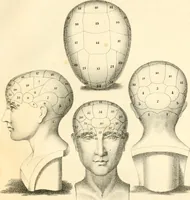 Picture 1 of 27 from Grundzüge der Phrenologie; oder, Anleitung zum Studium dieser Wissenschaft, mit Berücksichtigung der neueren Forschungen auf dem Gebiete der Physiologie und Psychologie (1856), leaf 610
