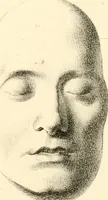 Picture 15 of 27 from Grundzüge der Phrenologie; oder, Anleitung zum Studium dieser Wissenschaft, mit Berücksichtigung der neueren Forschungen auf dem Gebiete der Physiologie und Psychologie (1856), leaf 622