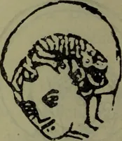 An illustration from Gruppierungsversuche im Bereiche des ältesten Holzschnittes (1911)
