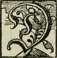 Picture 32 of 87 from Gryphus principalis, sive, Typus boni principis : XII titulis repræsentatus et reverendissimo ... Ioanni Philippo, S.R.I. principi, episcopo Herbipolensi ... oblatus humillime (1712), leaf 106