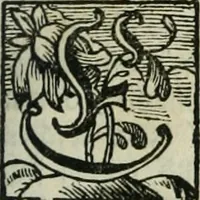 An illustration from Gryphus principalis, sive, Typus boni principis : XII titulis repræsentatus et reverendissimo ... Ioanni Philippo, S.R.I. principi, episcopo Herbipolensi ... oblatus humillime (1712)