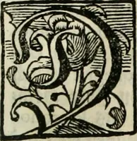 An illustration from Gryphus principalis, sive, Typus boni principis : XII titulis repræsentatus et reverendissimo ... Ioanni Philippo, S.R.I. principi, episcopo Herbipolensi ... oblatus humillime (1712)