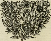 Picture 13 of 87 from Gryphus principalis, sive, Typus boni principis : XII titulis repræsentatus et reverendissimo ... Ioanni Philippo, S.R.I. principi, episcopo Herbipolensi ... oblatus humillime (1712), leaf 27