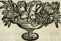 Picture 76 of 87 from Gryphus principalis, sive, Typus boni principis : XII titulis repræsentatus et reverendissimo ... Ioanni Philippo, S.R.I. principi, episcopo Herbipolensi ... oblatus humillime (1712), leaf 399