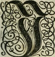 An illustration from Gryphus principalis, sive, Typus boni principis : XII titulis repræsentatus et reverendissimo ... Ioanni Philippo, S.R.I. principi, episcopo Herbipolensi ... oblatus humillime (1712)