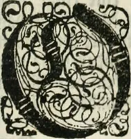 An illustration from Gryphus principalis, sive, Typus boni principis : XII titulis repræsentatus et reverendissimo ... Ioanni Philippo, S.R.I. principi, episcopo Herbipolensi ... oblatus humillime (1712)