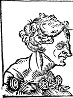 Picture 41 of 69 from Chiromantia. (1546), leaf 104