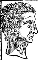 An illustration from Chiromantia. (1546)
