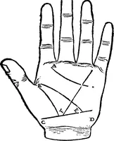 An illustration from Chiromantia. (1546)