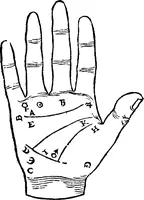 An illustration from Chiromantia. (1546)