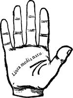 Picture 8 of 69 from Chiromantia. (1546), leaf 26