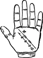 Picture 10 of 69 from Chiromantia. (1546), leaf 28