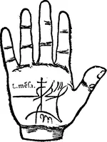 An illustration from Chiromantia. (1546)
