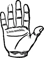 Picture 13 of 69 from Chiromantia. (1546), leaf 37
