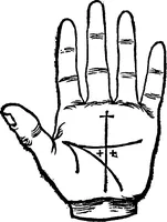 An illustration from Chiromantia. (1546)