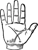 Picture 17 of 69 from Chiromantia. (1546), leaf 45