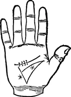 An illustration from Chiromantia. (1546)