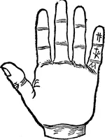 An illustration from Chiromantia. (1546)