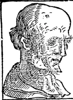 An illustration from Chiromantia. (1546)