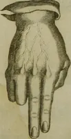 An illustration from Reduction de las letras y arte para enseñar a [h]ablar los mudos (1620)